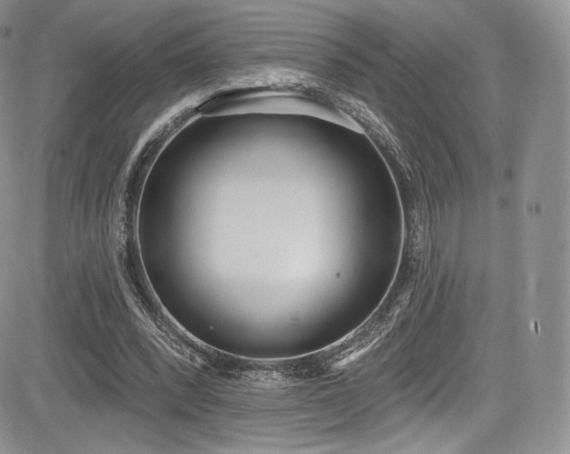 X0000085080392200703051439