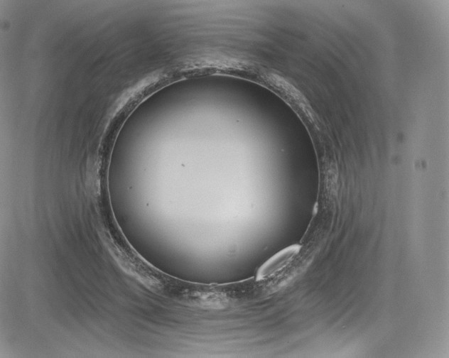 X0000085080395200703051439