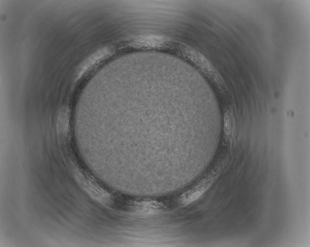 X0000085080396200703051439