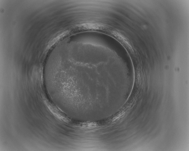 X0000085080398200703051439