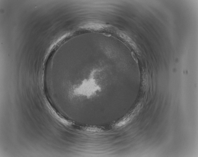 X0000085080399200703051439