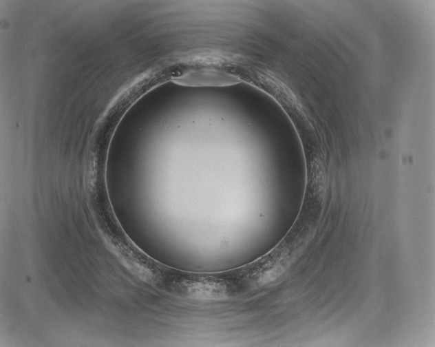 X0000085080400200703051439