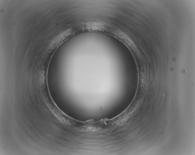 X0000085080401200703051439