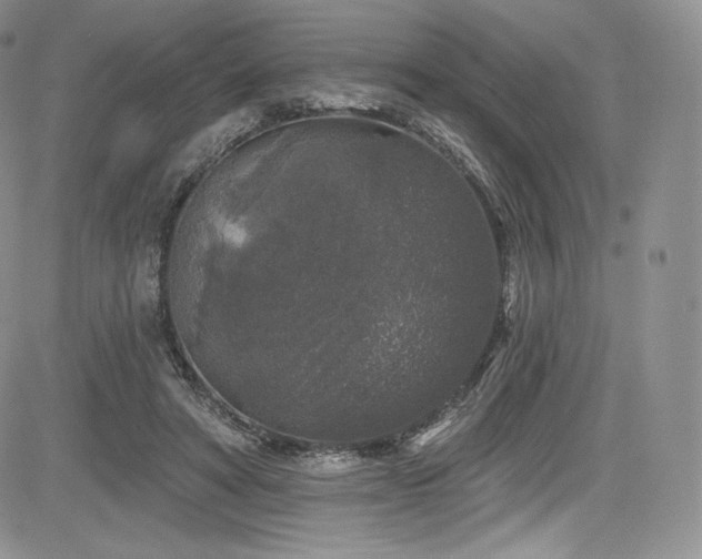 X0000085080402200703051439