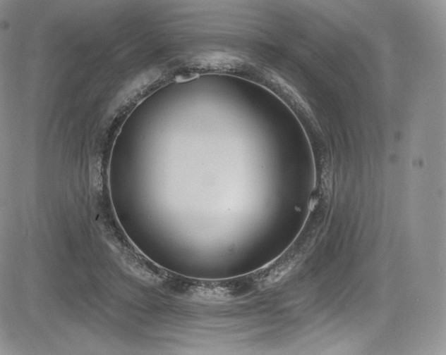 X0000085080403200703051439