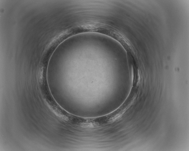 X0000085080404200703051439