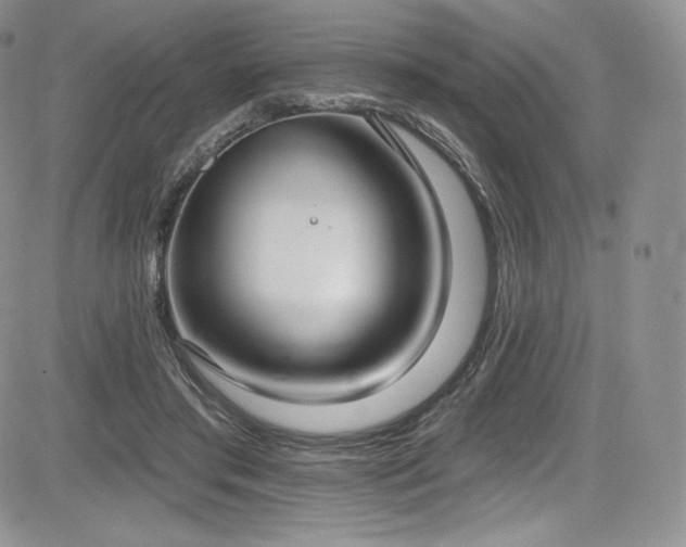 X0000085080405200703051439