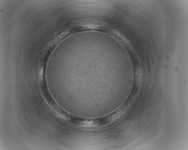 X0000085080406200703051439