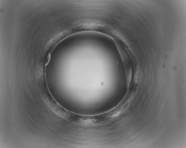 X0000085080407200703051439