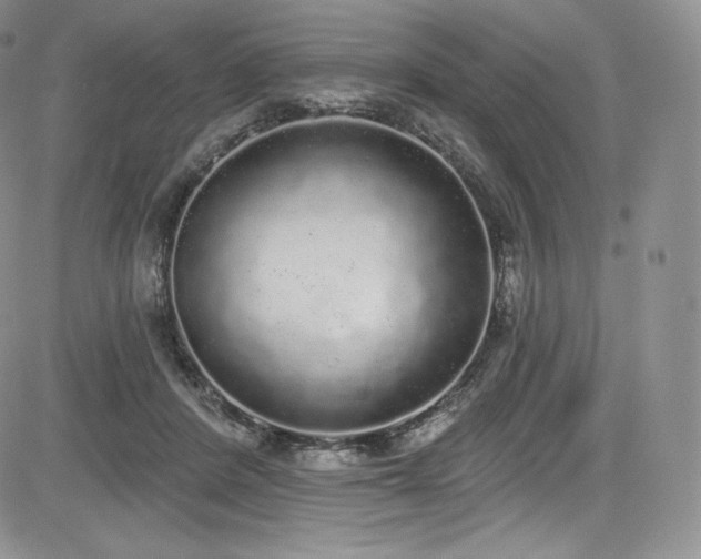 X0000085080408200703051439