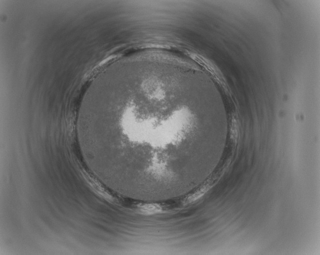 X0000085080409200703051439