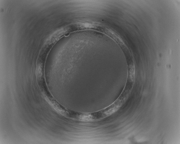 X0000085080410200703051439