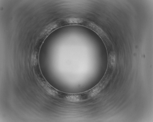 X0000085080422200703051438