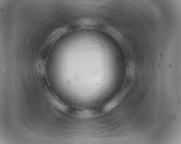 X0000085080430200703051438