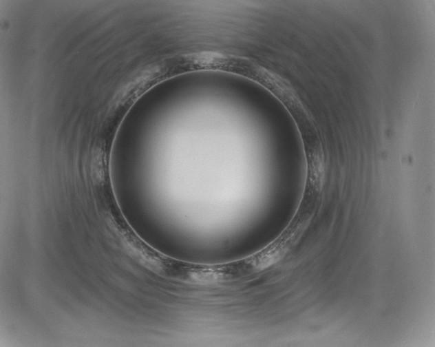 X0000085080470200703051438
