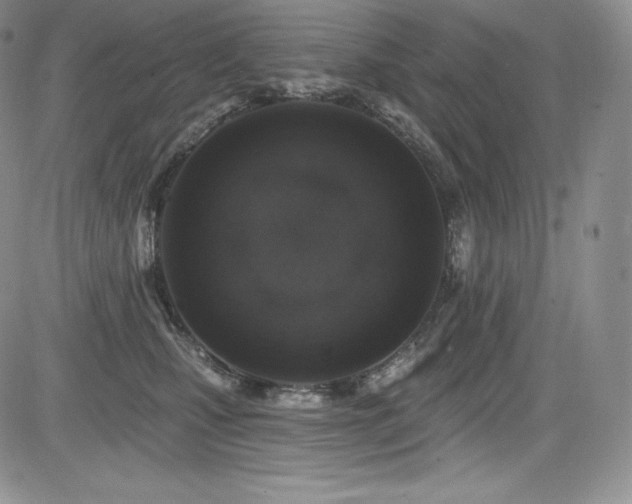 X0000085080471200703051438