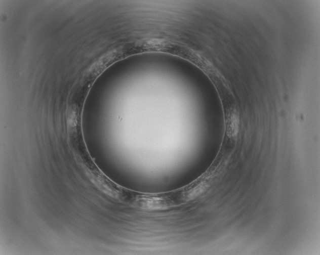 X0000085080472200703051438