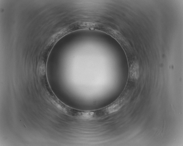 X0000085080474200703051438