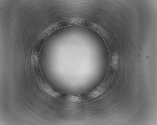 X0000085080522200703051437
