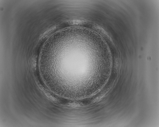 X0000085080545200703051436