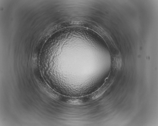 X0000085080557200703051436