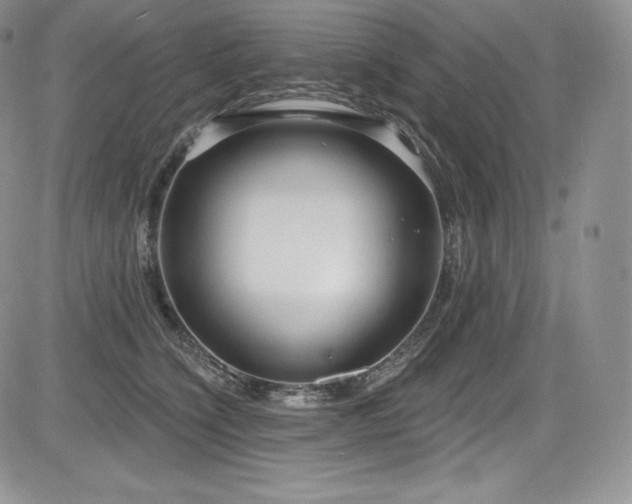 X0000085080564200703051436