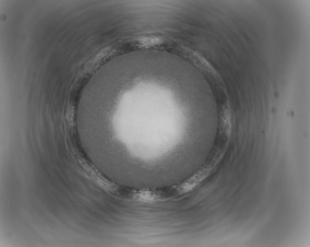 X0000085080565200703051436