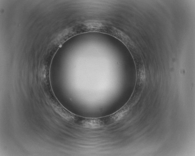 X0000085080567200703051436