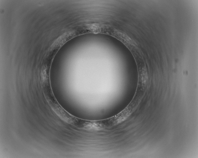 X0000085080611200703051435