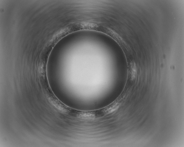 X0000085080619200703051435