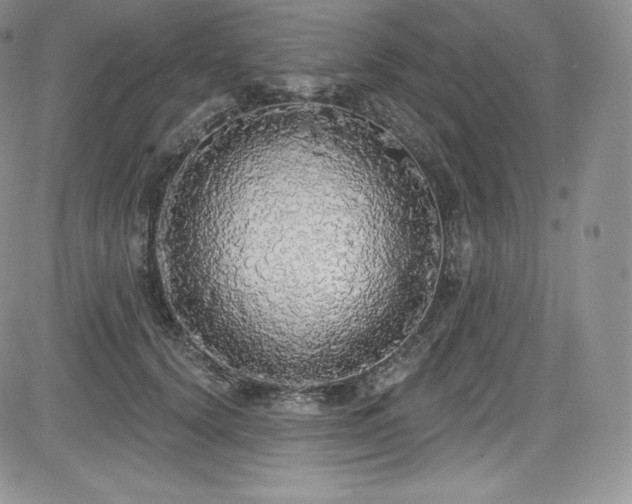 X0000085080656200703051435