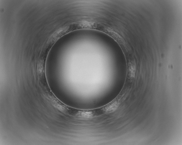 X0000085080665200703051435