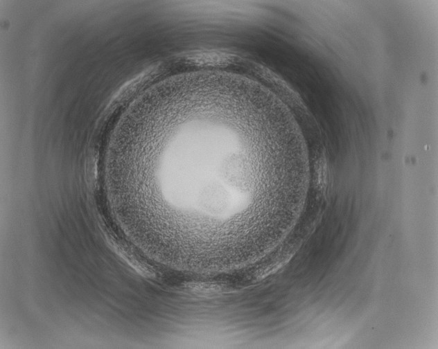 X0000085080733200703051433