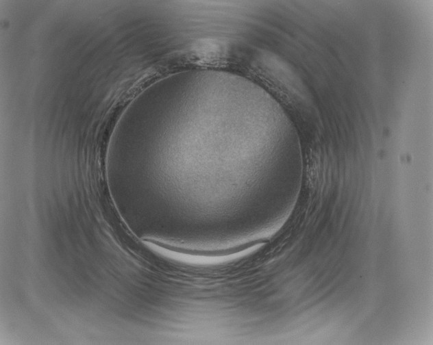 X0000085080748200703051433