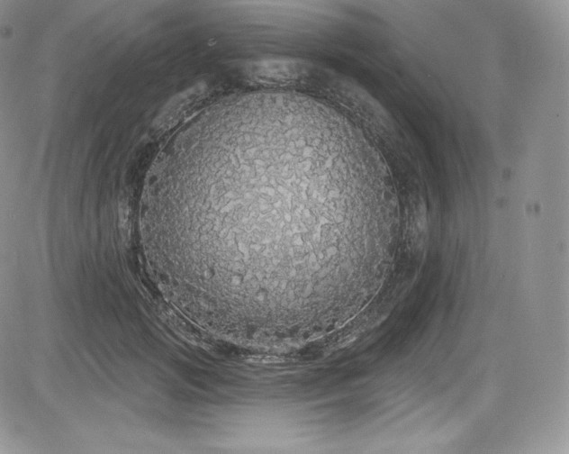 X0000085080749200703051433