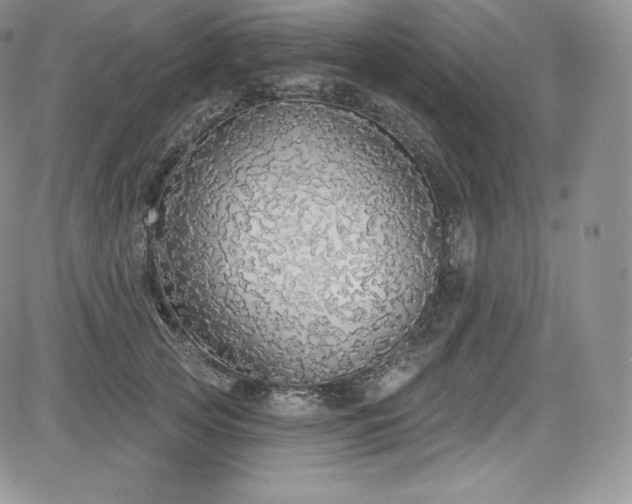 X0000085080753200703051433
