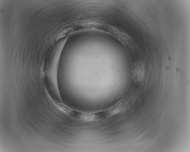 X0000085080767200703051433
