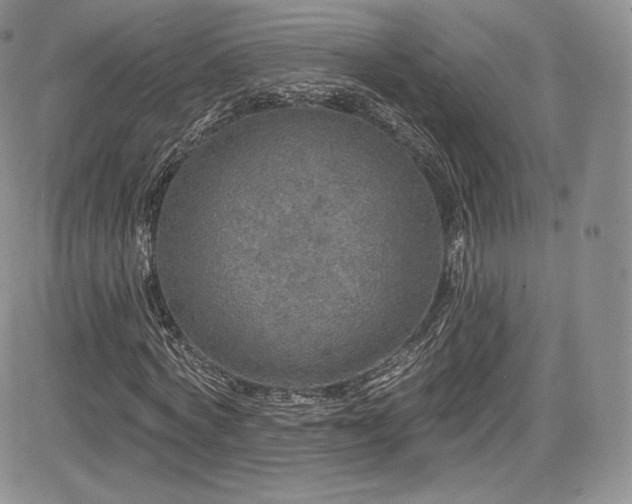 X0000085080772200703051432