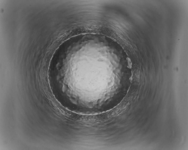X0000085080817200703051431