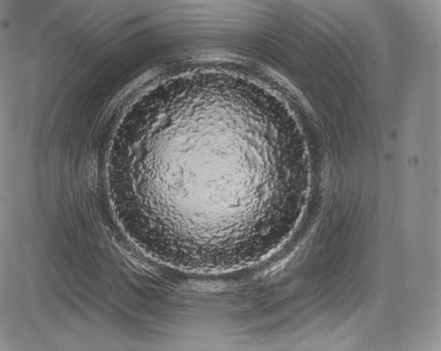 X0000085080825200703051431