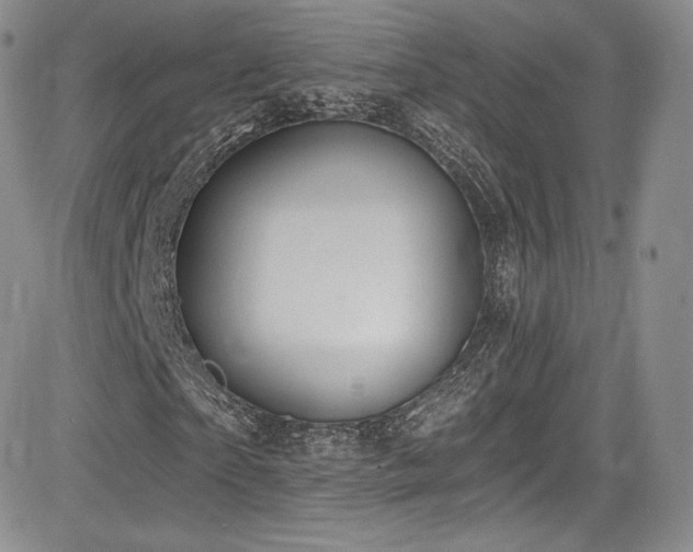X0000085080865200703051431