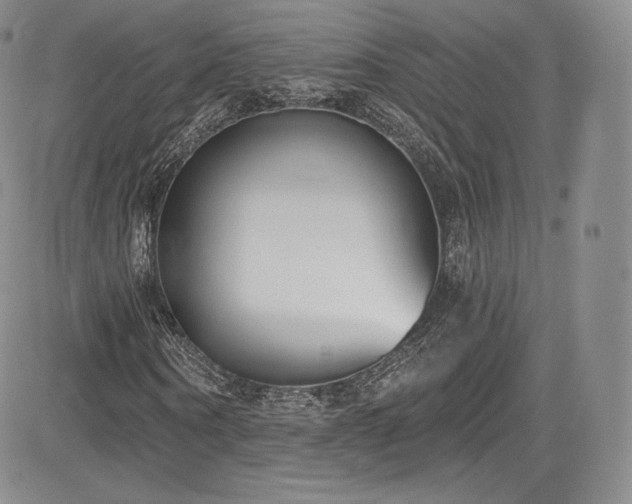 X0000085080866200703051431