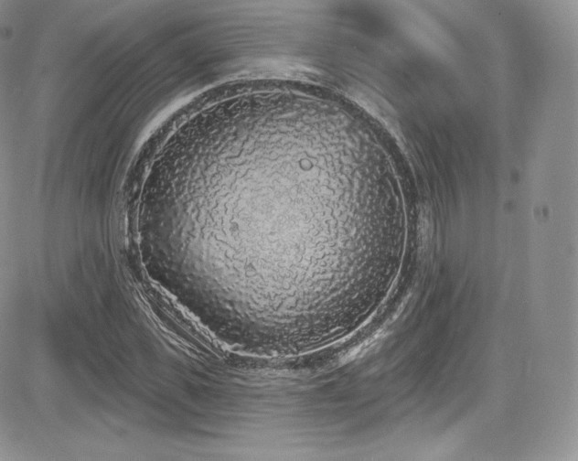 X0000085080925200703051429