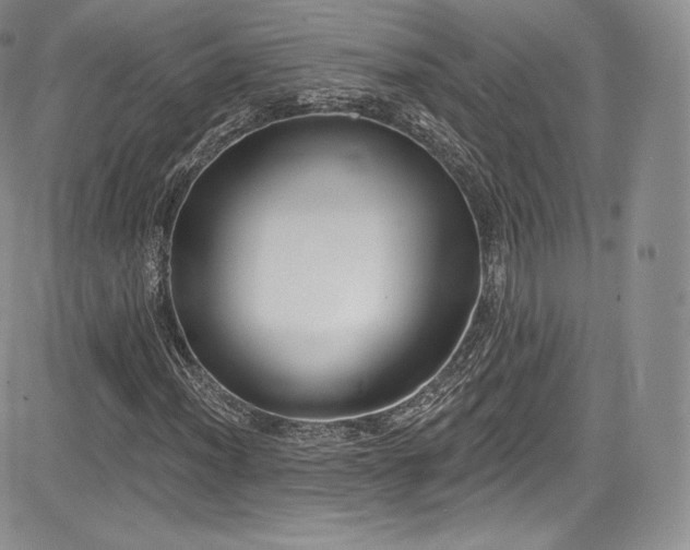 X0000085081012200703051428