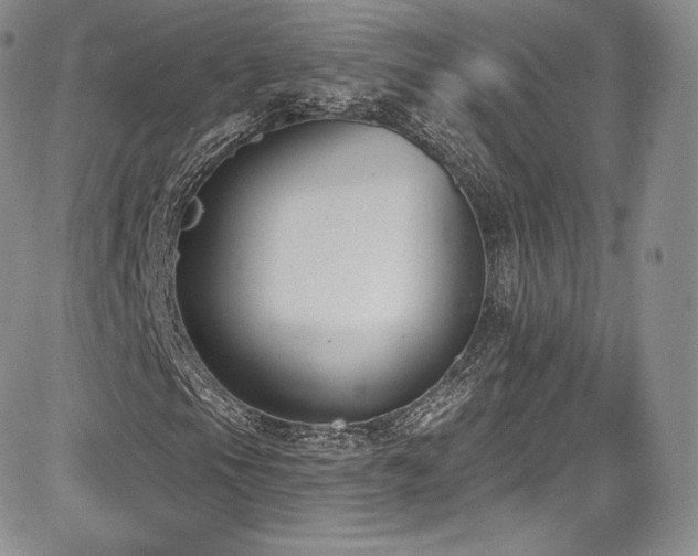 X0000085081105200703051426