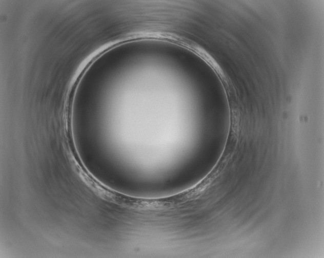 X0000085081148200703051427