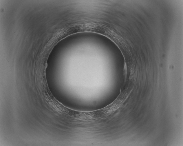 X0000085081153200703051426