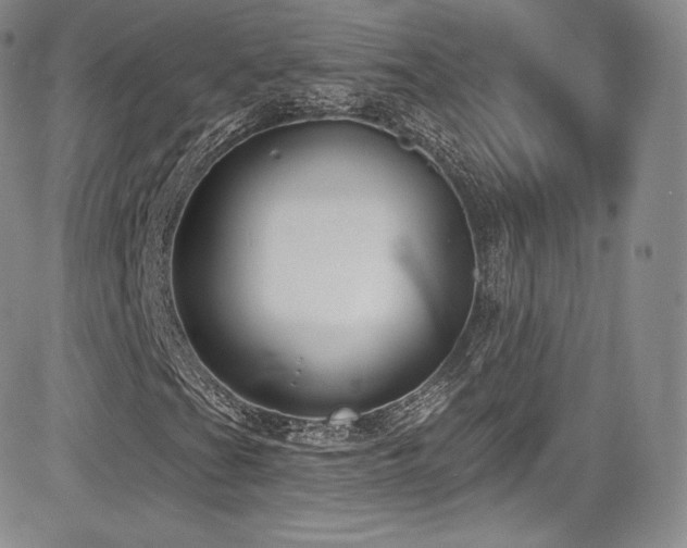 X0000085081201200703051424