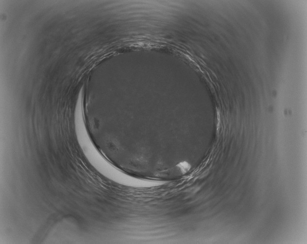 X0000085081202200703051424