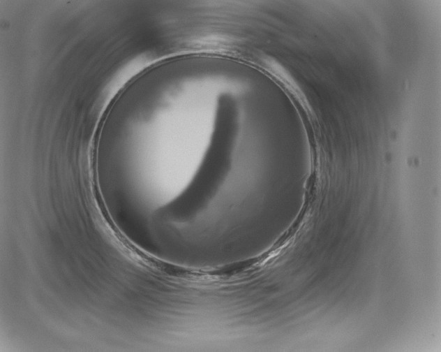 X0000085081291200703051424